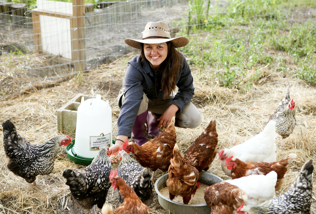 Everything you need to know about chicken keeping to build food security