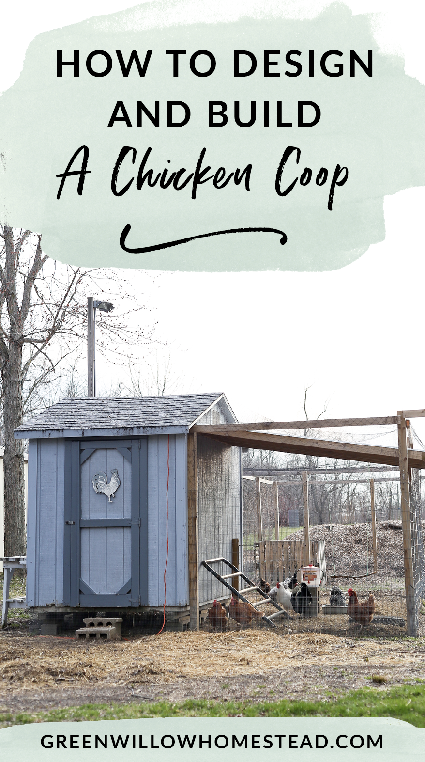 How to design and build a chicken coop for your backyard hens