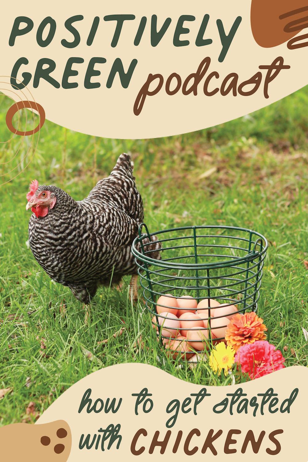How to get started with Chickens - The Positively Green Podcast