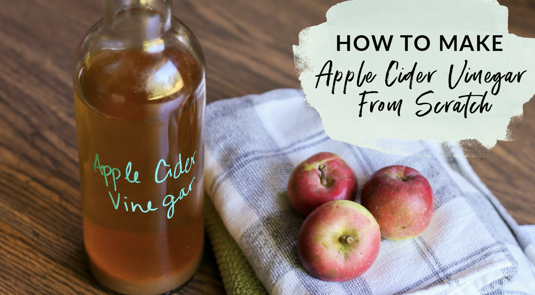 How to make apple cider vinegar from scratch
