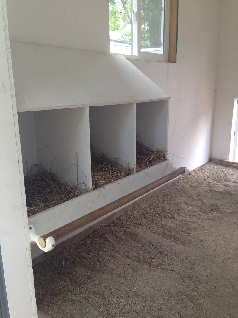 Our newly installed chicken nesting box in the chicken coop