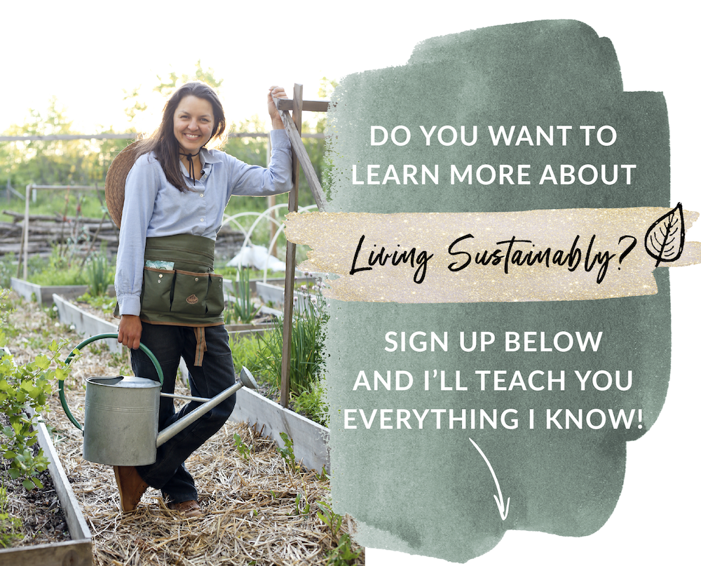 Sign up for the sustainable living email list with Kelsey Jorissen