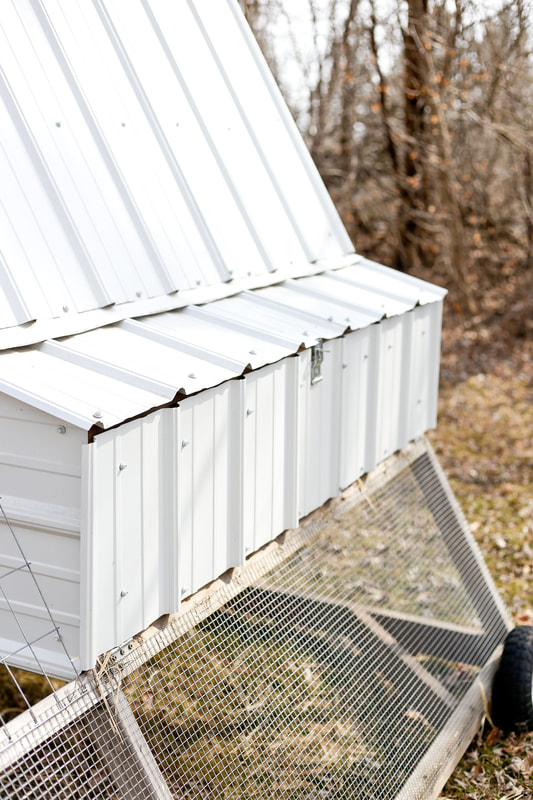 A-Frame Nesting boxes are accessible on our chicken tractor from the outside