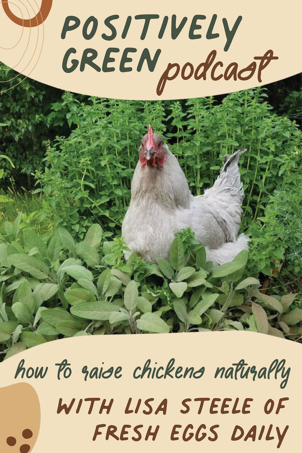 http://www.greenwillowhomestead.com/uploads/2/9/8/5/29854265/raising-chickens-naturally-with-lisa-steele-on-the-positively-green-podcast-for-pinterest_orig.jpg