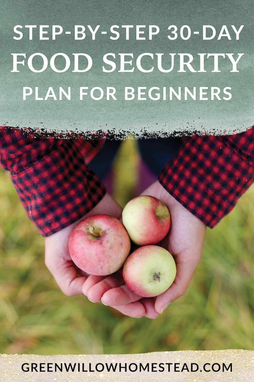 Step by step food security plan for beginners