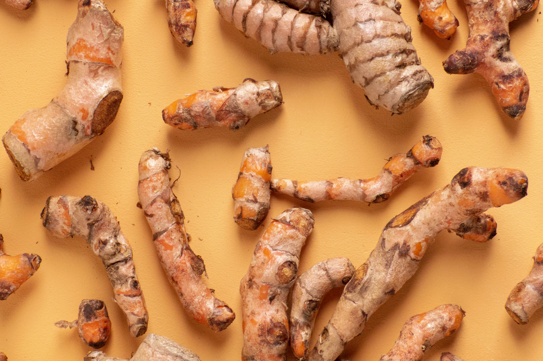 Supplement your chickens diet with organic turmeric