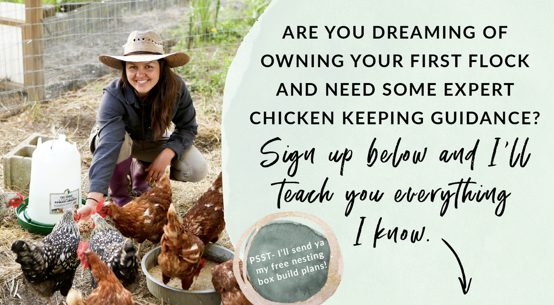 Subscribe to get more free chicken keeping information from Kelsey Jorissen of Green Willow Homestead