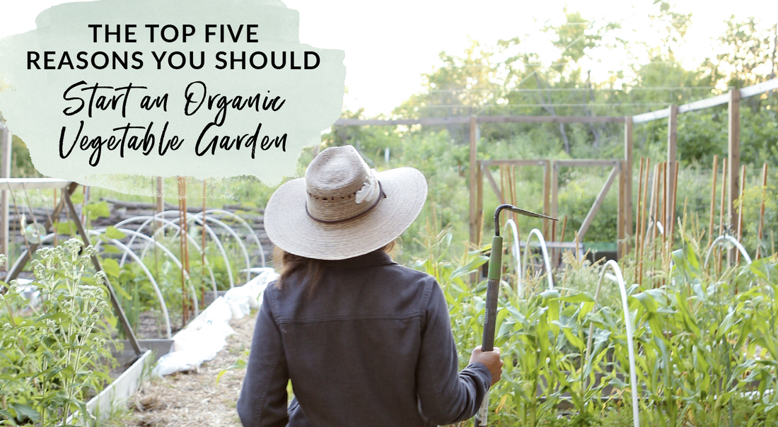 The top five reasons you should start gardening organically