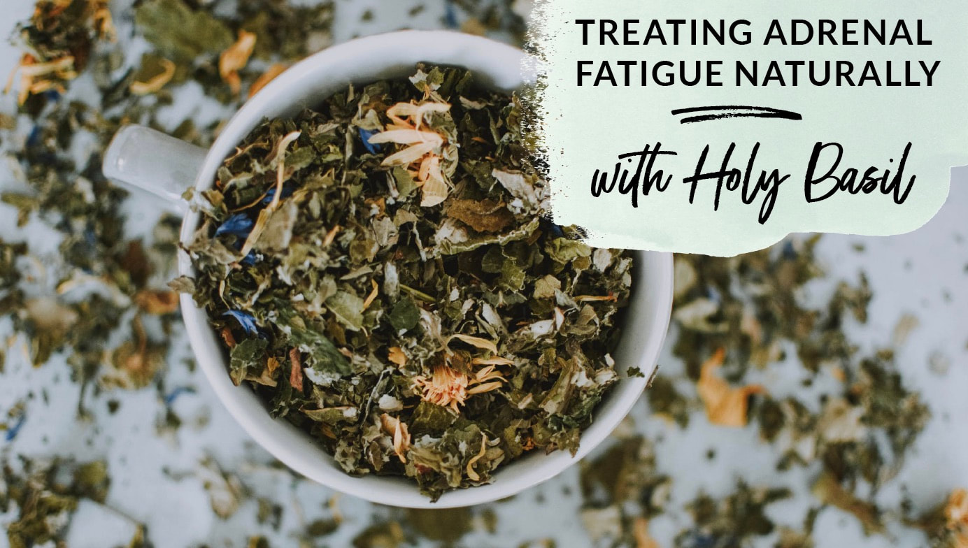 Treating Adrenal Fatigue Naturally With Holy Basil