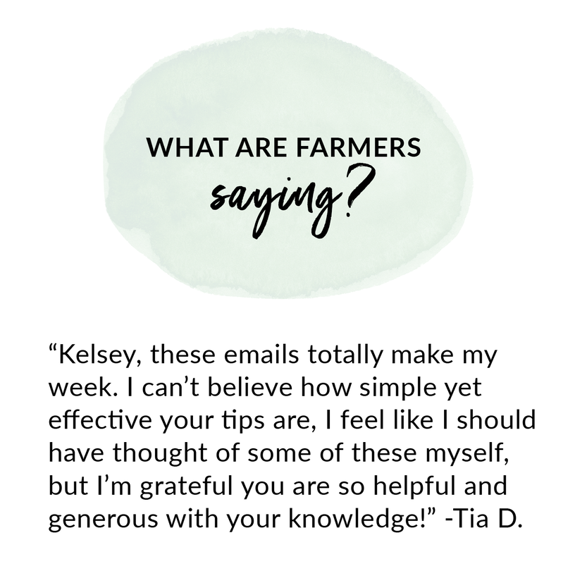 How to use online marketing for your farm with Kelsey Jorissen