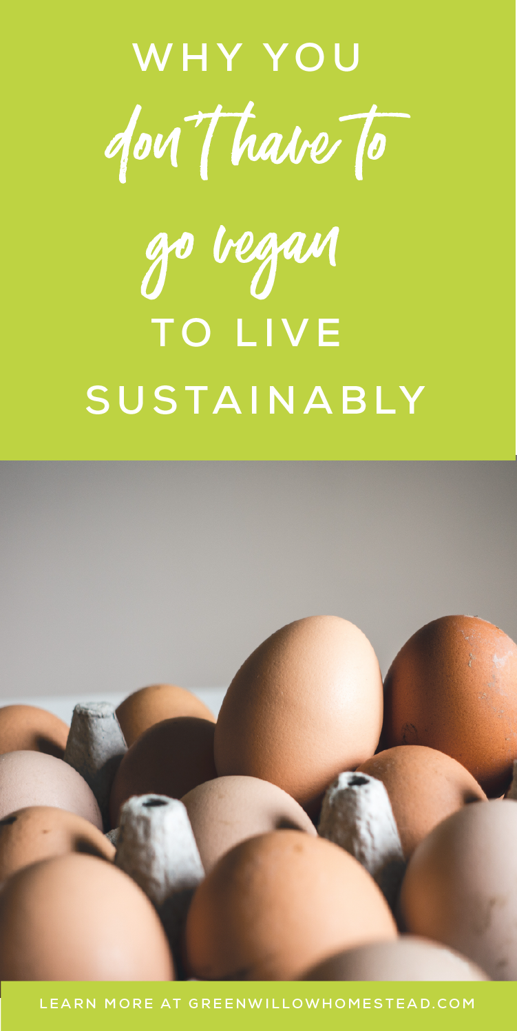 why you don't have to go vegan to live sustainably