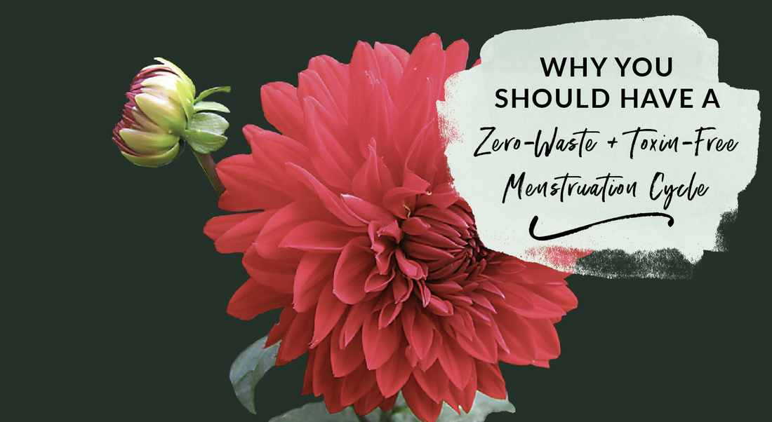 Why you should have a zero-waste and sustainable toxin free menstruation cycle
