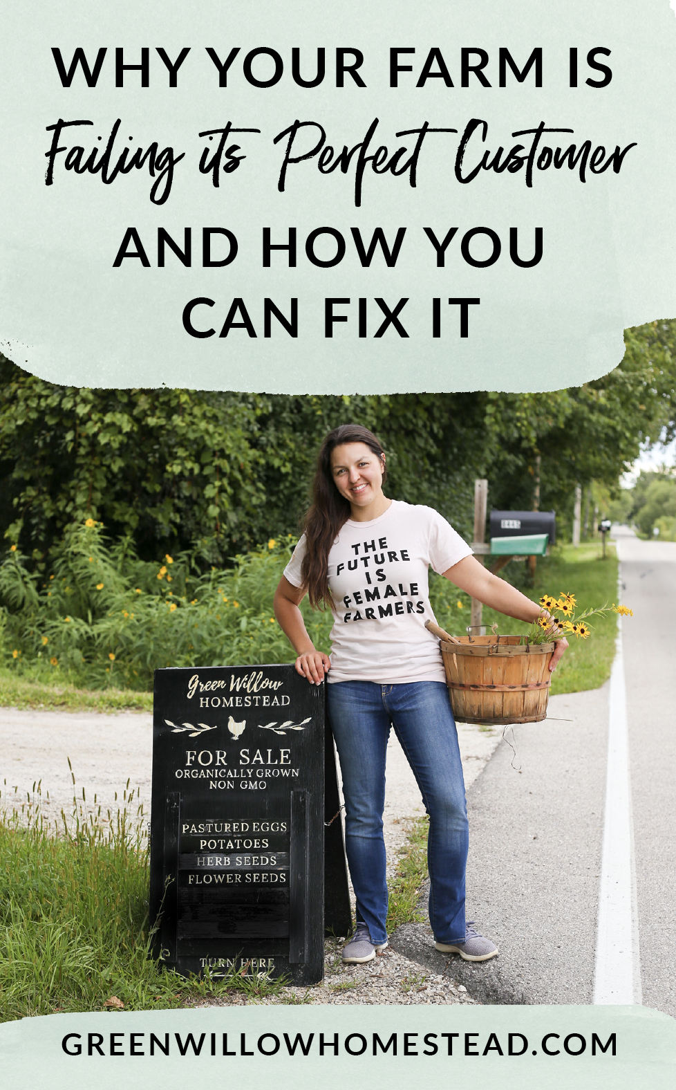 Why your farm or homestead is failing its perfect customer and how you can fix it with Kelsey Jorissen of Green Willow Homestead - Online Marketing For Farmers