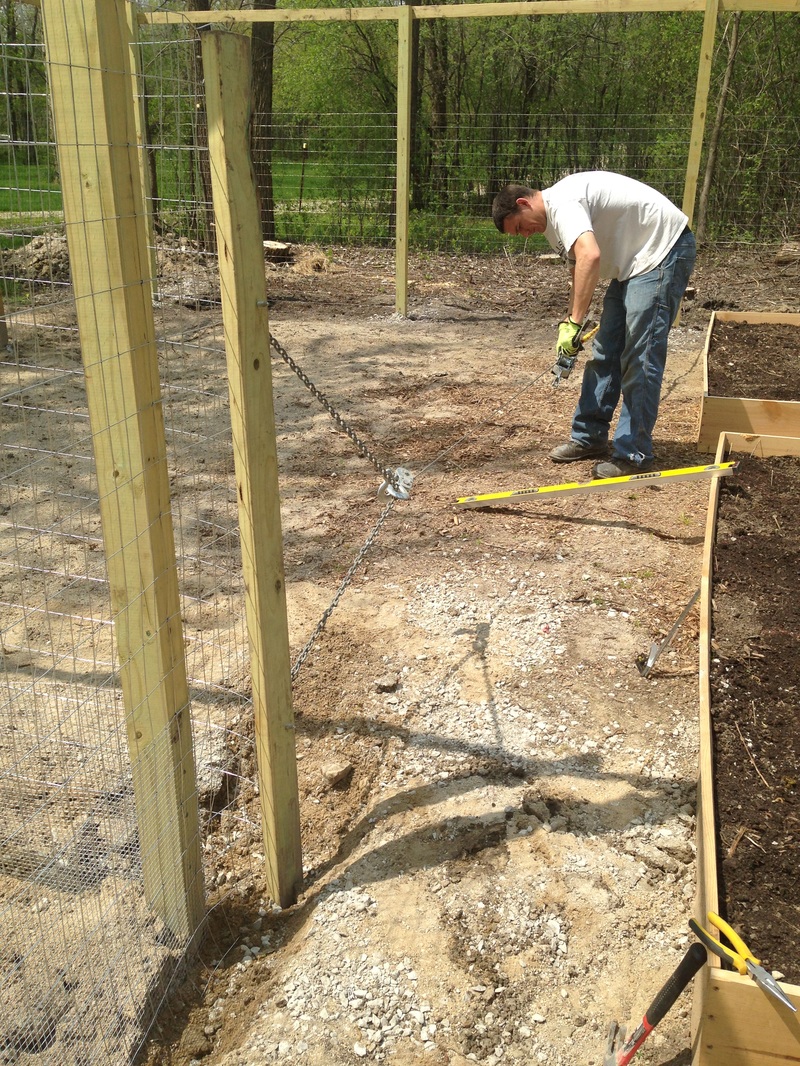 How to stretch galvanized fencing so it's straight