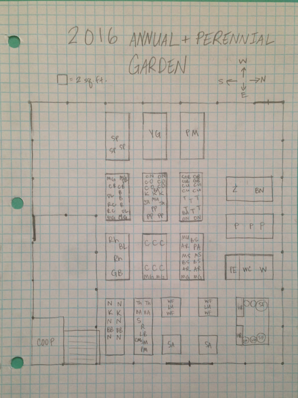 Examples of organic garden layouts