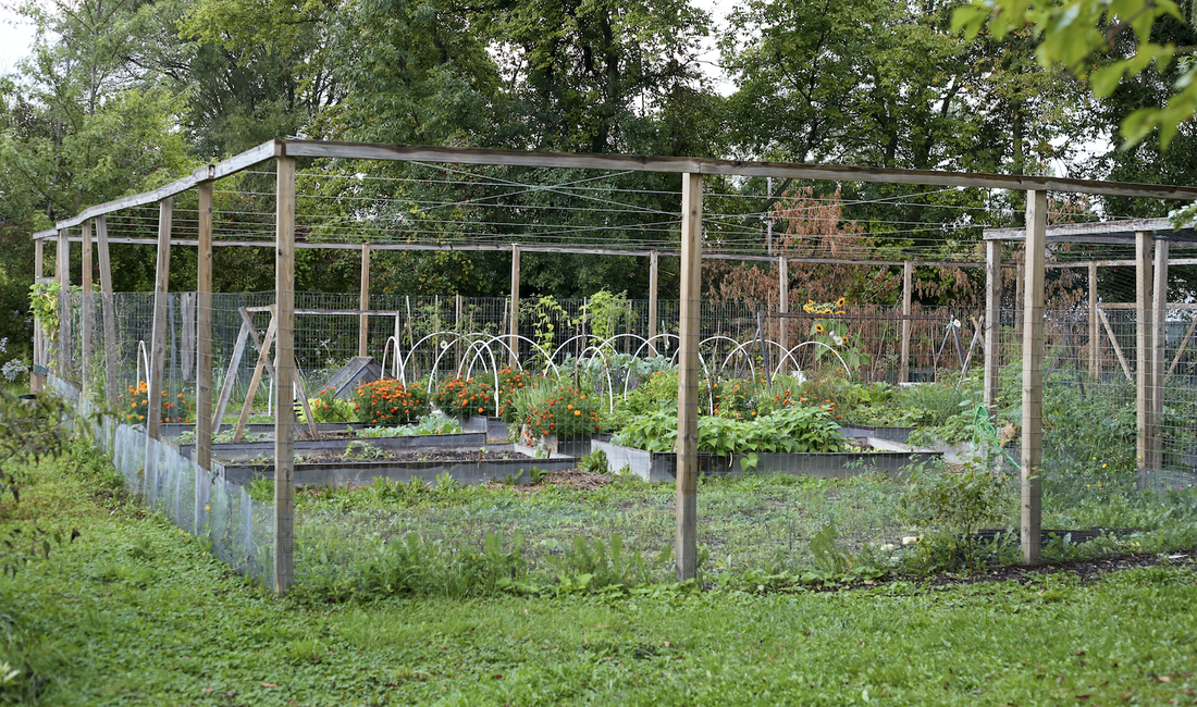 building raised beds for your first garden