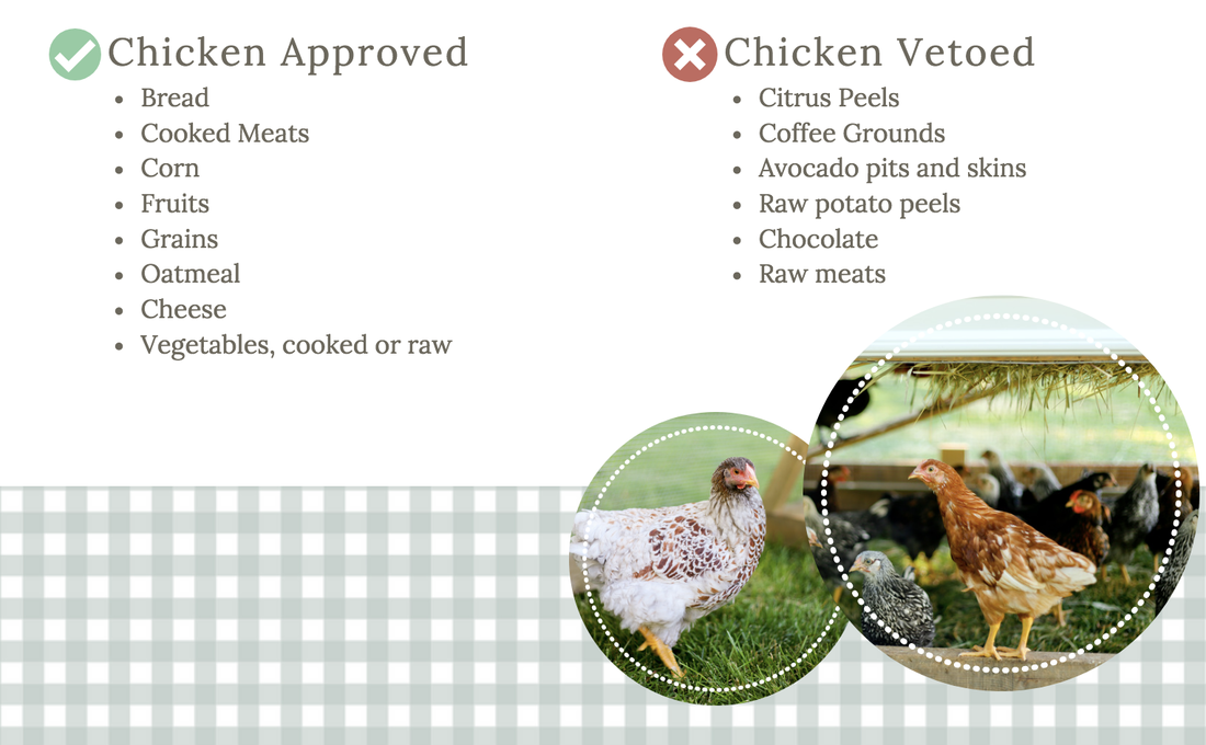 Chicken approved food scraps
