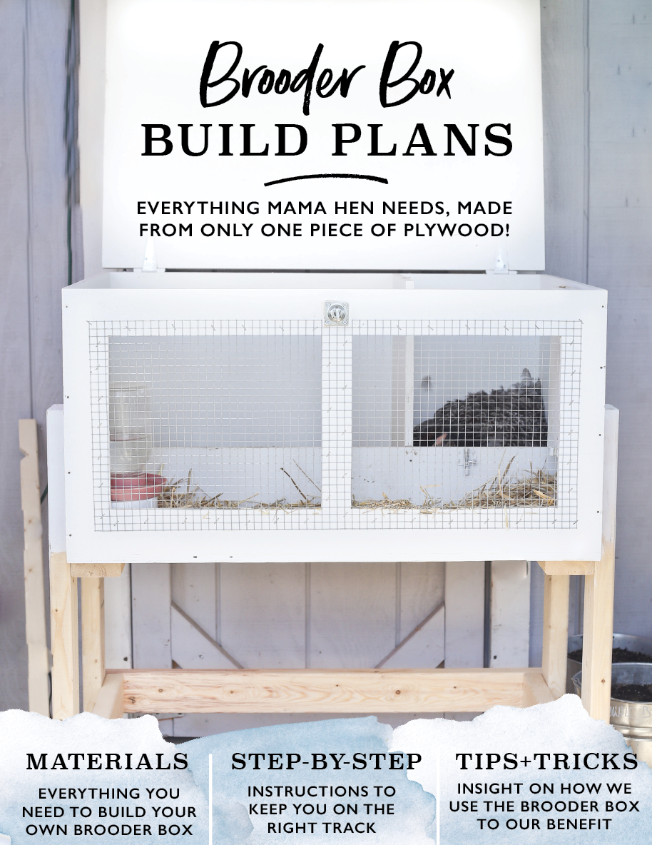 Purchase The Brooder Box building plans for your broody hen