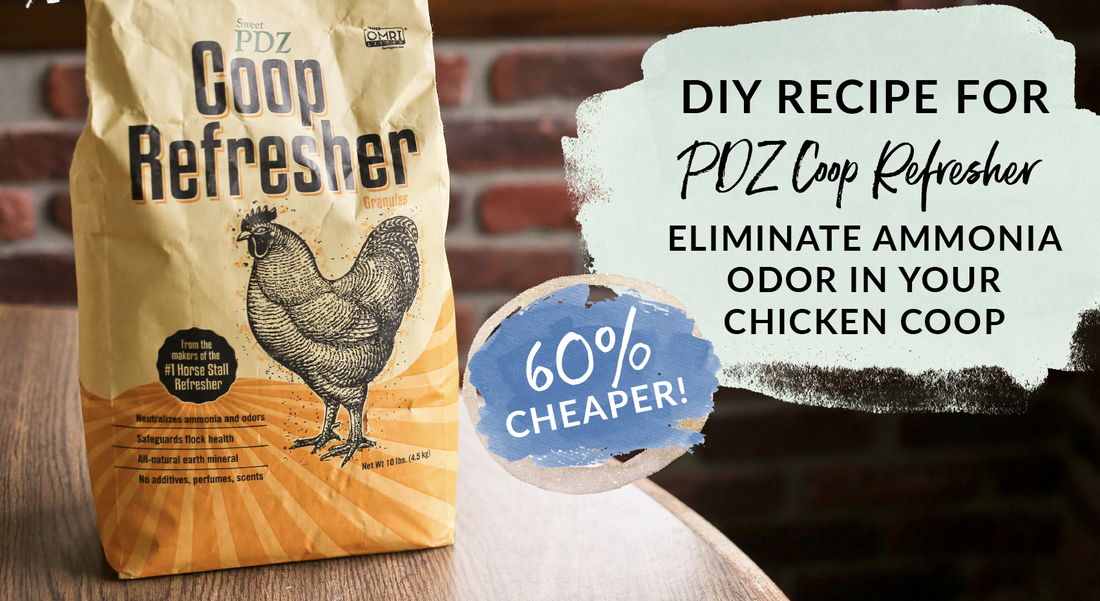 DIY Recipe for Coop Refresher Eliminate ammonia odor in your chicken coop