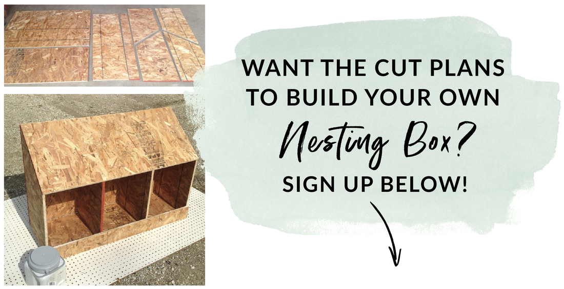 Build a nesting box from one piece of plywood