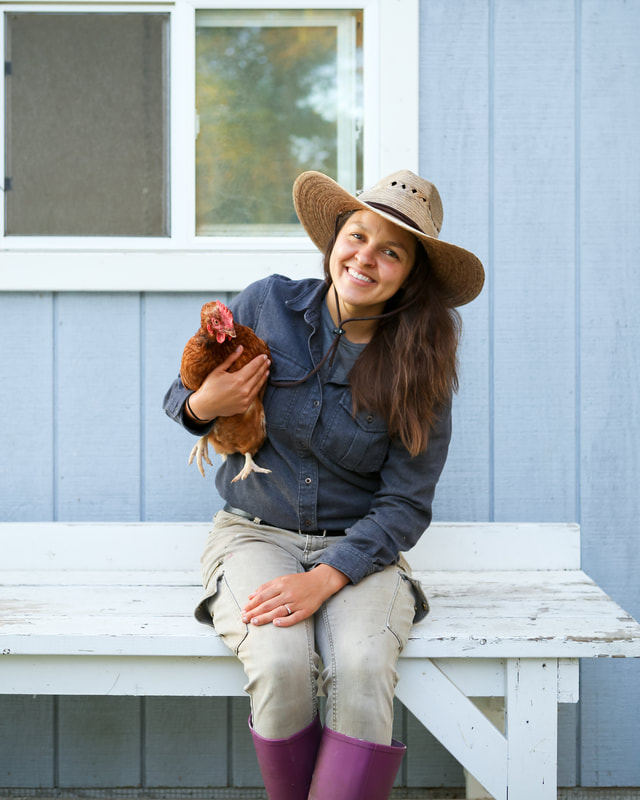 The basics of keeping backyard chickens