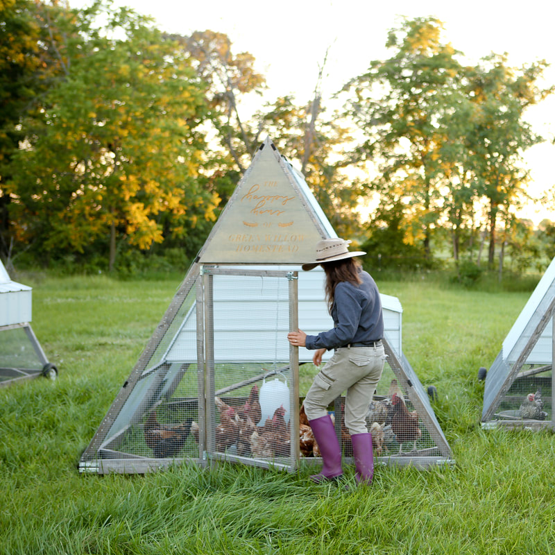 The a-frame chicken tractor keeps your hens safe from predators