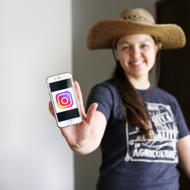 How to use Instagram for your farm business
