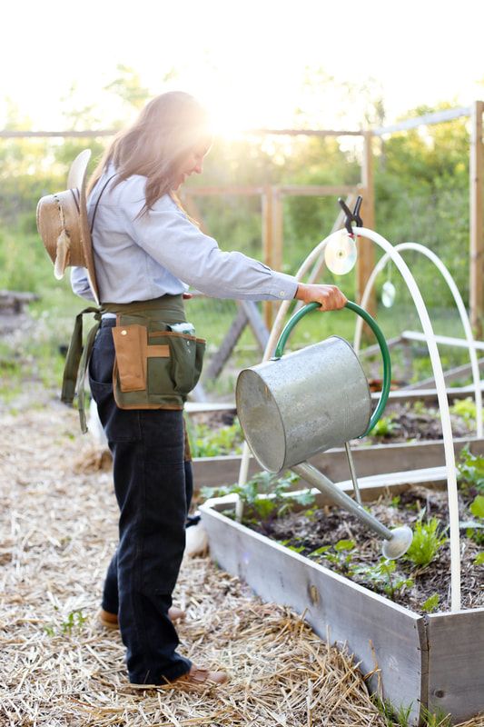How to water your vegetable garden properly
