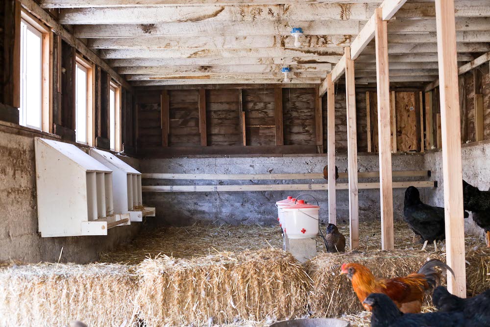 The Barn Renovation Before and After Interior