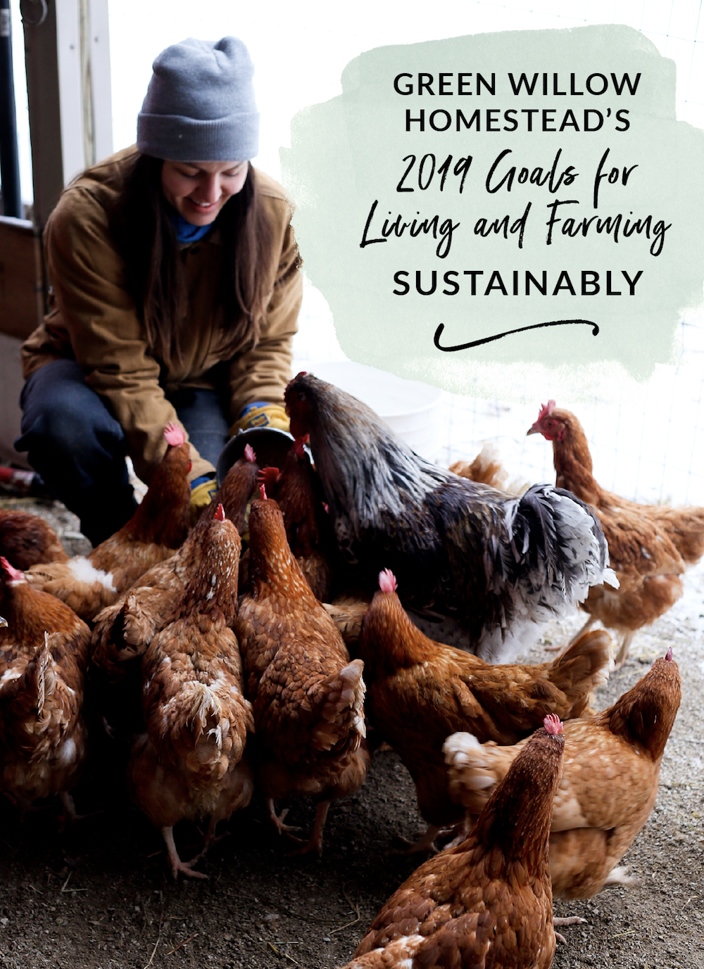 Green Willow Homestead Goals in 2019 Farming and Living Sustainably