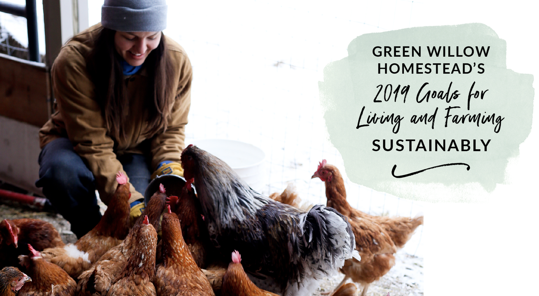 Green Willow Homestead's 2019 Goals for Living and Farming Sustainably
