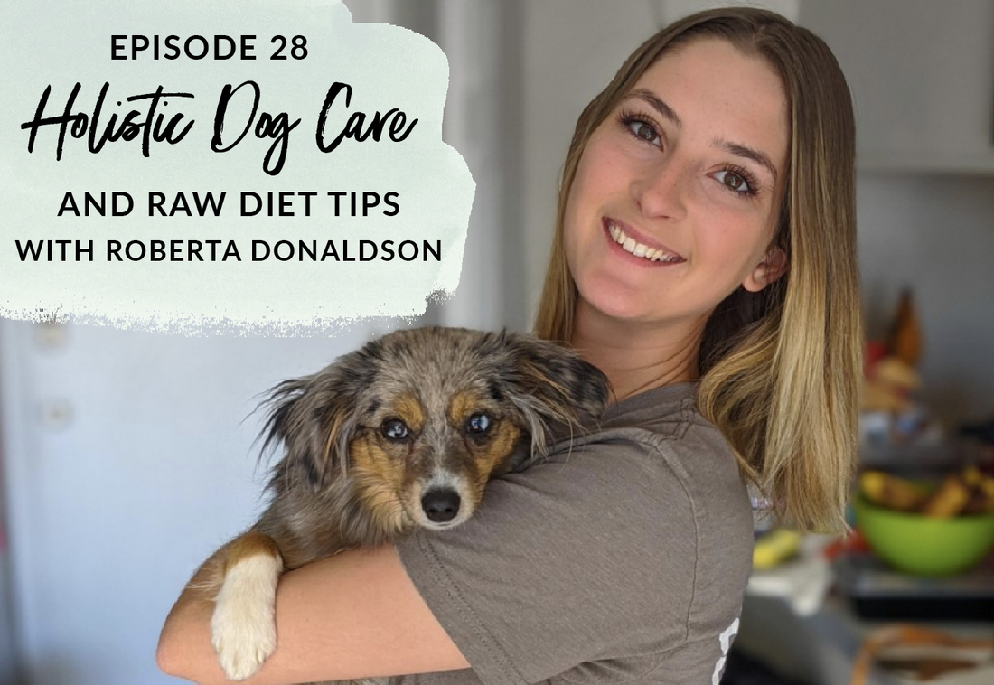 Holistic Dog care and raw diet tips with Roberta Donaldson