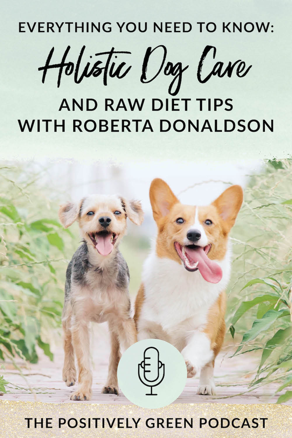 Holistic Dog Care and Raw Diet Tips - Episode 28 of The Positively Green Podcast
