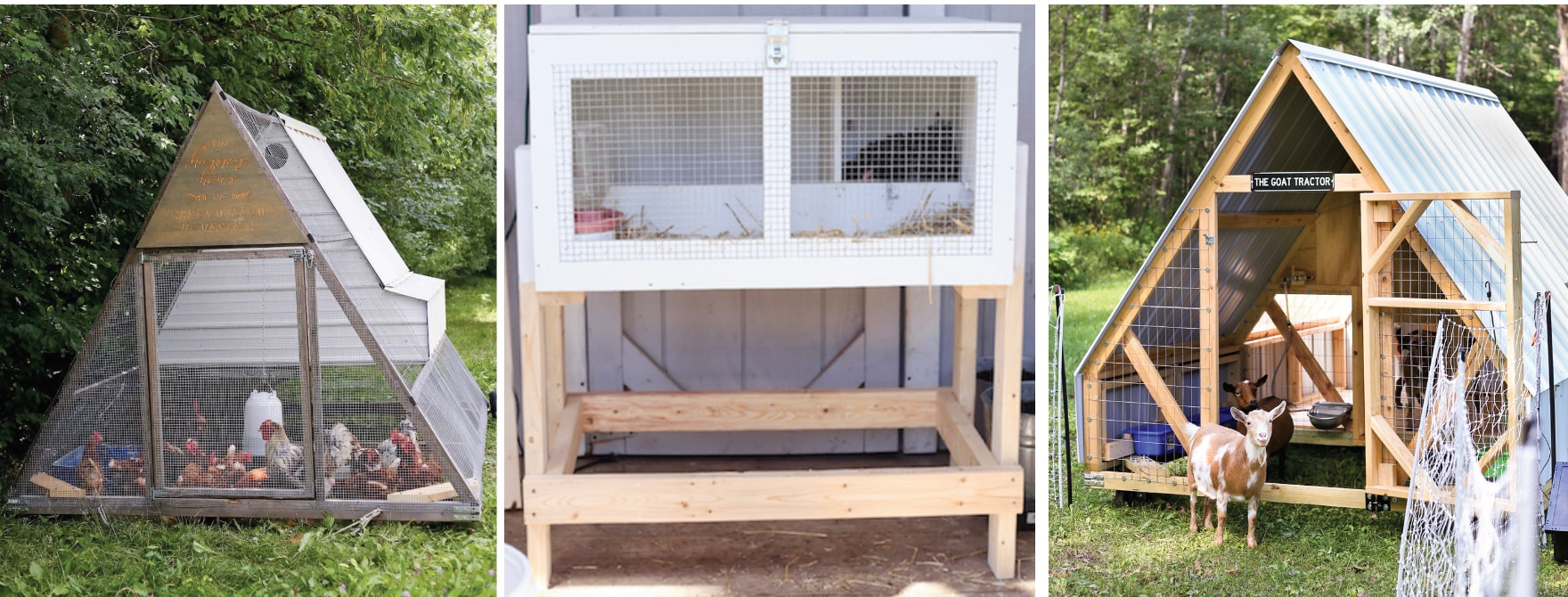 DIY chicken coops and goat barns