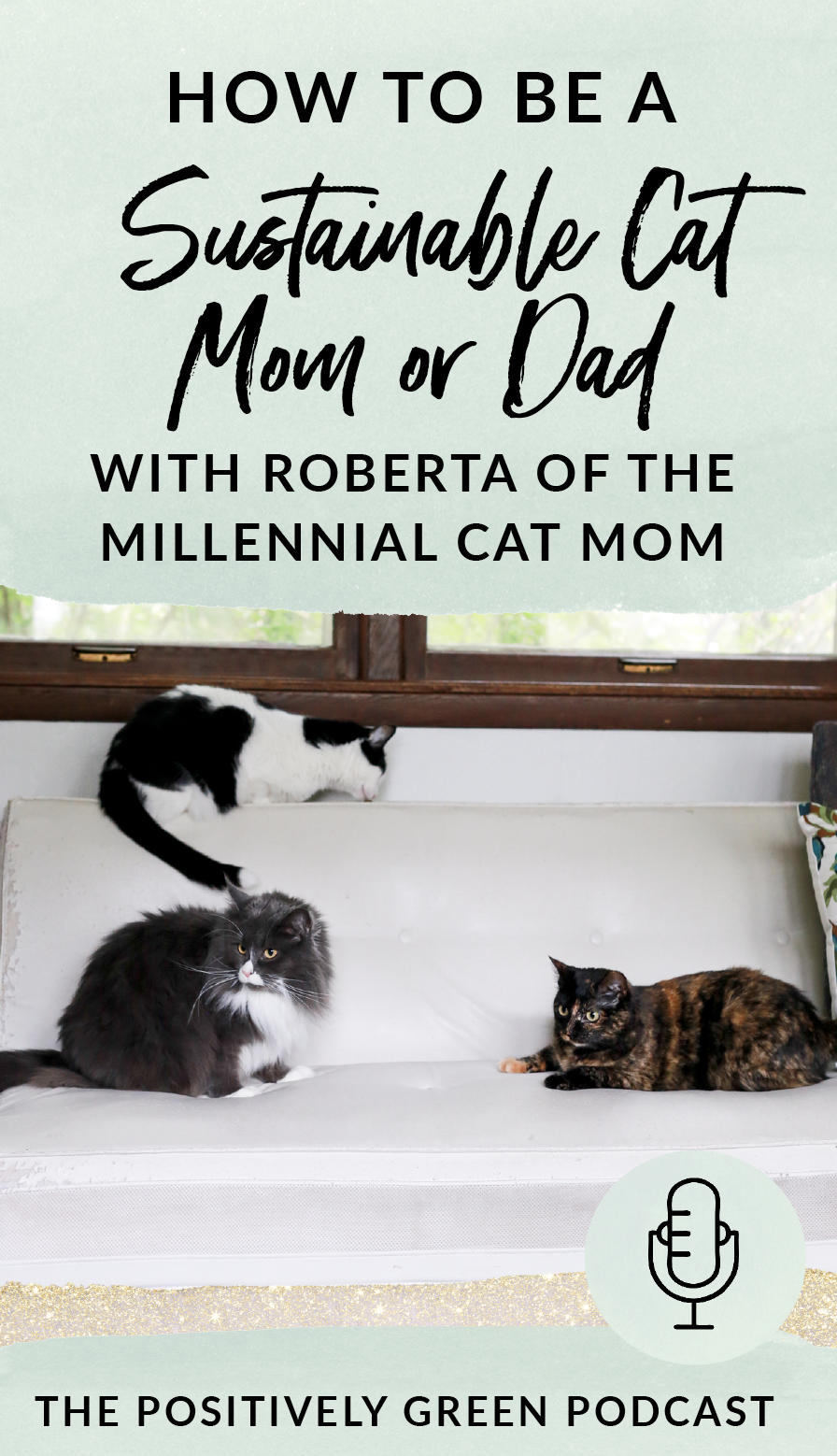How to be a sustainable cat mom or dad with Roberta Donaldson of The Millennial Cat Mom
