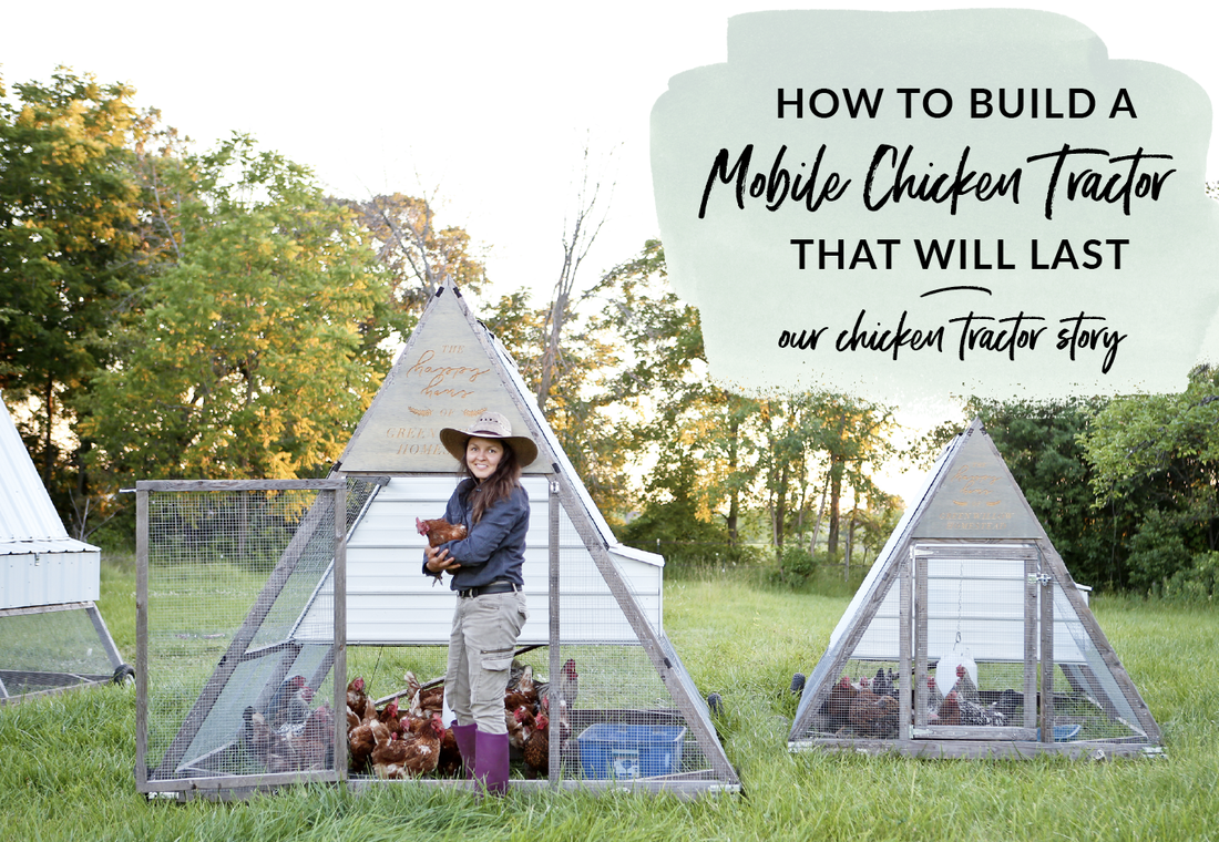 How to build an A-frame mobile chicken tractor that will last