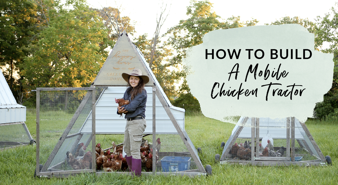 How to build a DIY a-frame chicken tractor and let the chickens mow the lawn