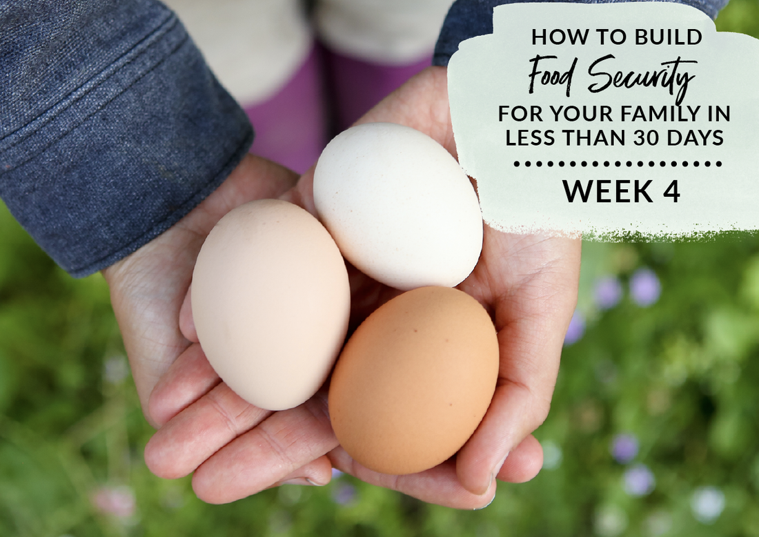How to build food security for your family week 4