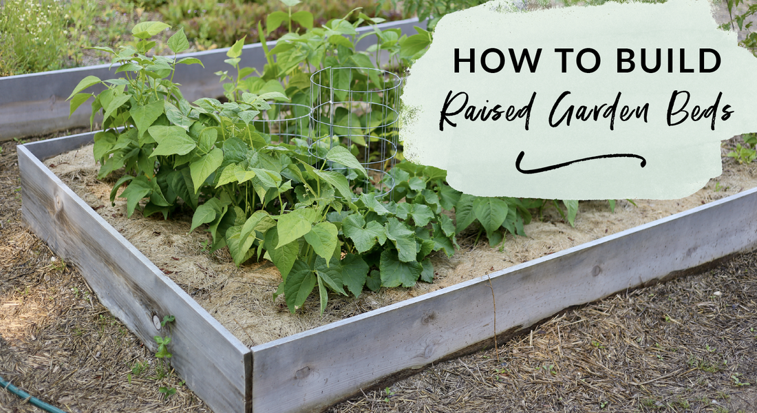 How to build raised garden beds