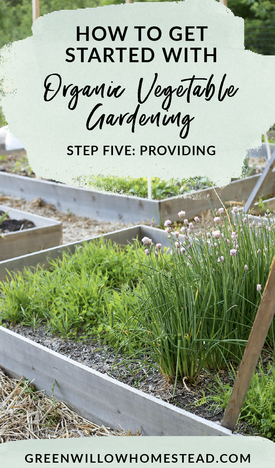 How to fertilize your organic vegetable garden organically, comfrey compost tea recipe