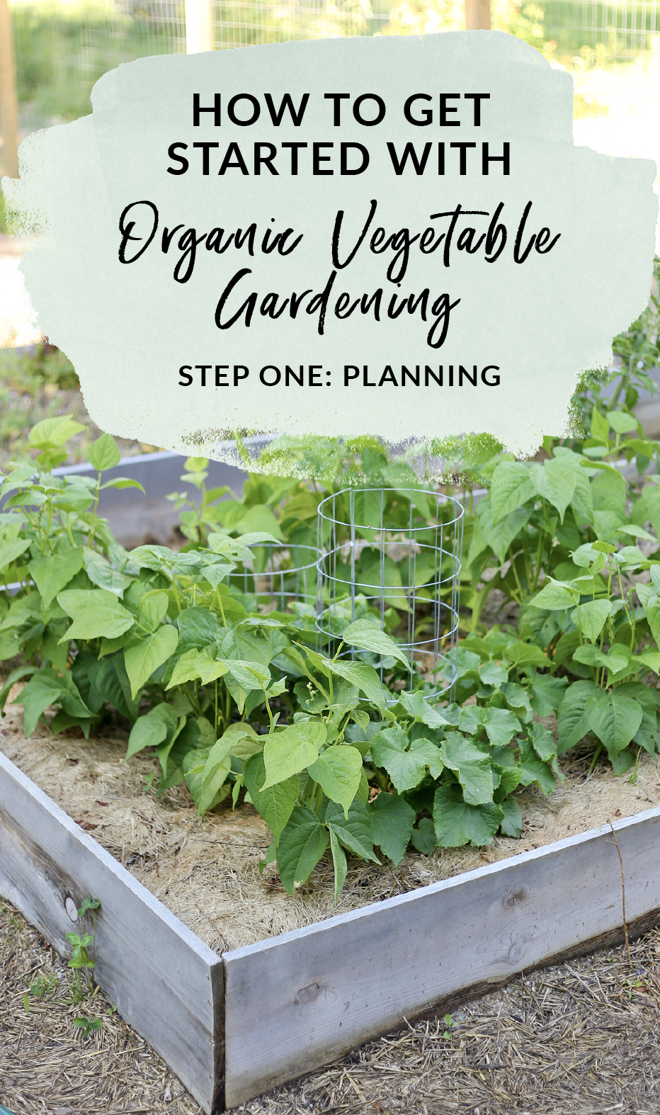 How to get started with organic vegetable gardening with proper planning and knowing your growing zone