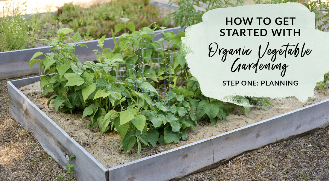 How To Get Started With Organic Vegetable Gardening Step One: Planning