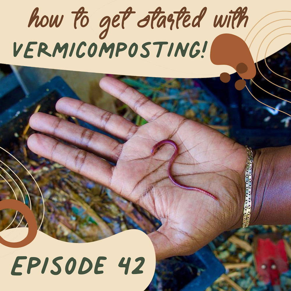 How to get started with Vermicomposting with Suzette Chaumette of the Positively Green Podcast
