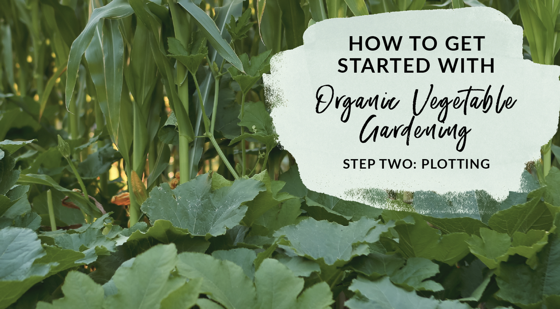 How to plot out your organic vegetable garden getting started with gardening 