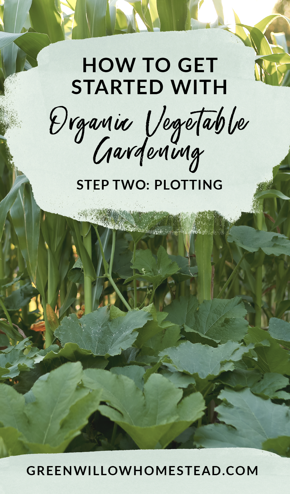 How to plot out your organic vegetable garden getting started with gardening 