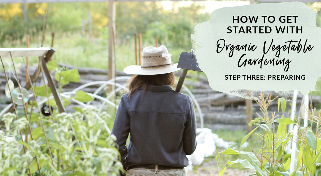 How To Get Started With Organic Vegetable Gardening