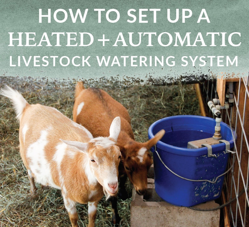 How to set up a heated automatic livestock watering system in your barn