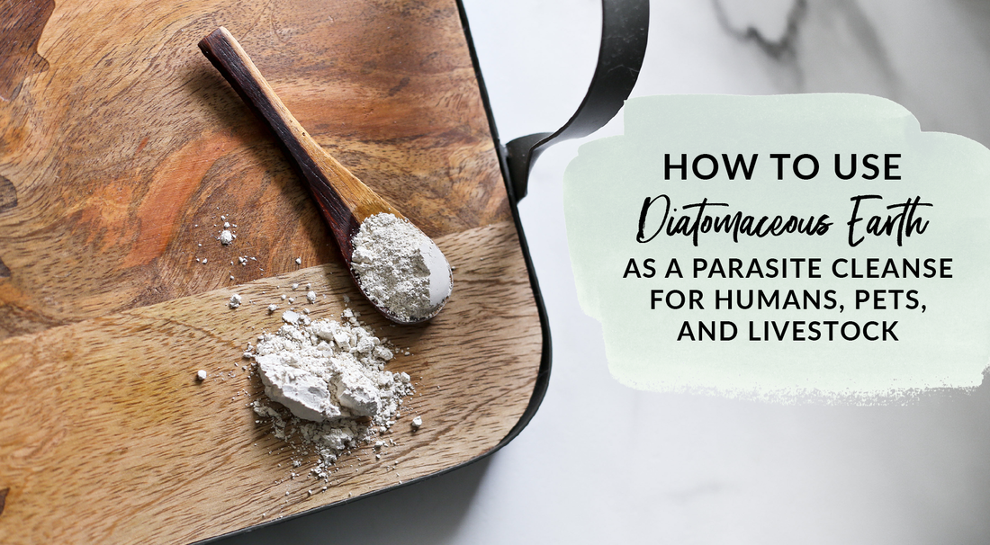 how to use diatomaceous earth as a parasite cleanse to