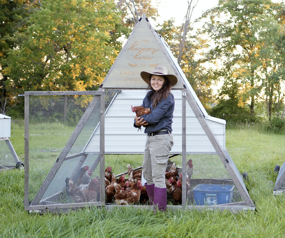 How we built a-frame chicken tractors for our homestead