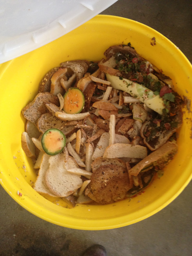Our food bucket is full of food scraps for our chickens